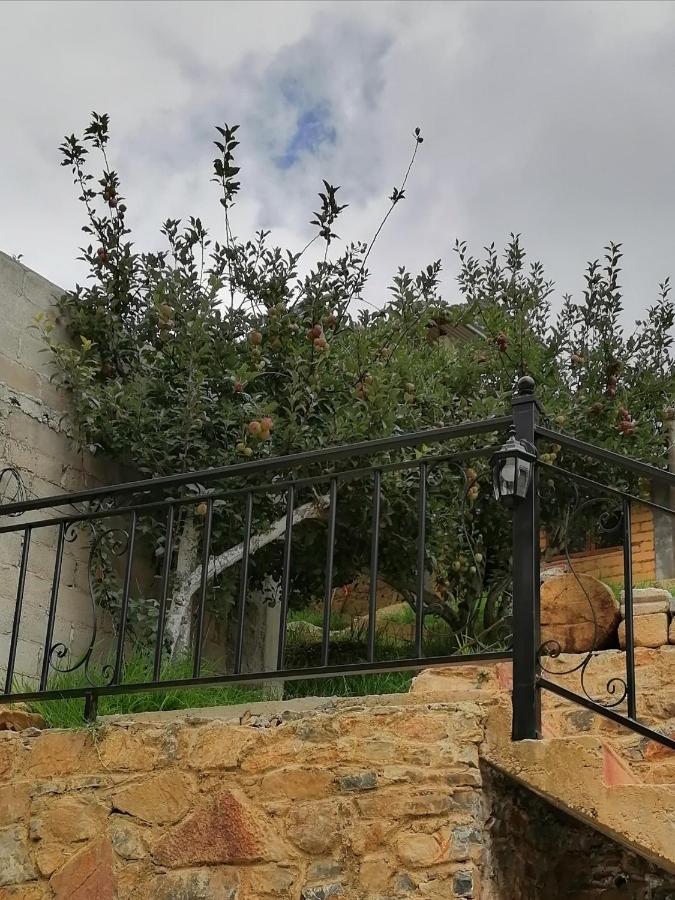 פינל דה אמולס Habitacion Cabana Huapango #4 מראה חיצוני תמונה